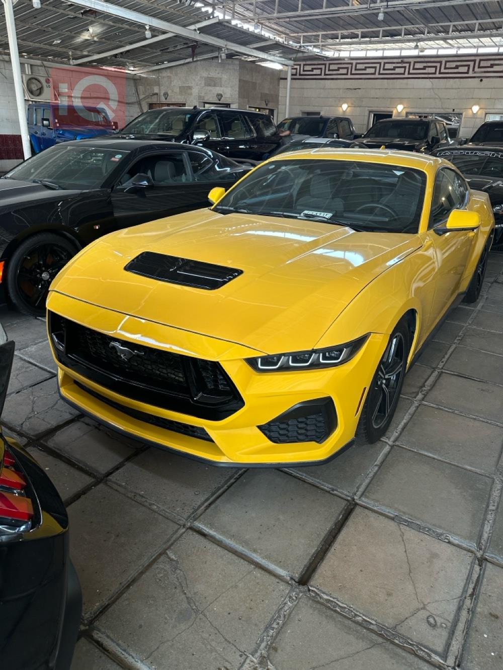 فورد موستانج